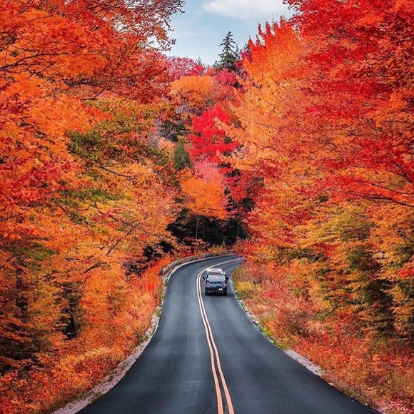 Meet your Posher, Jenny - Picture 1 of 1